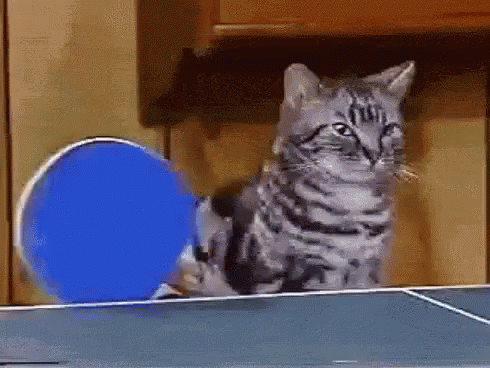 FizzBuzz